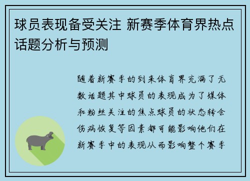 球员表现备受关注 新赛季体育界热点话题分析与预测