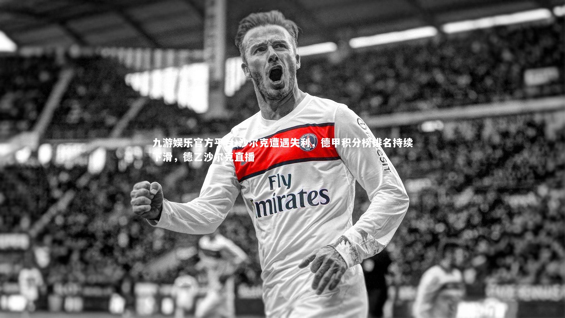 沙尔克遭遇失利,德甲积分榜排名持续下滑,德乙沙尔克直播