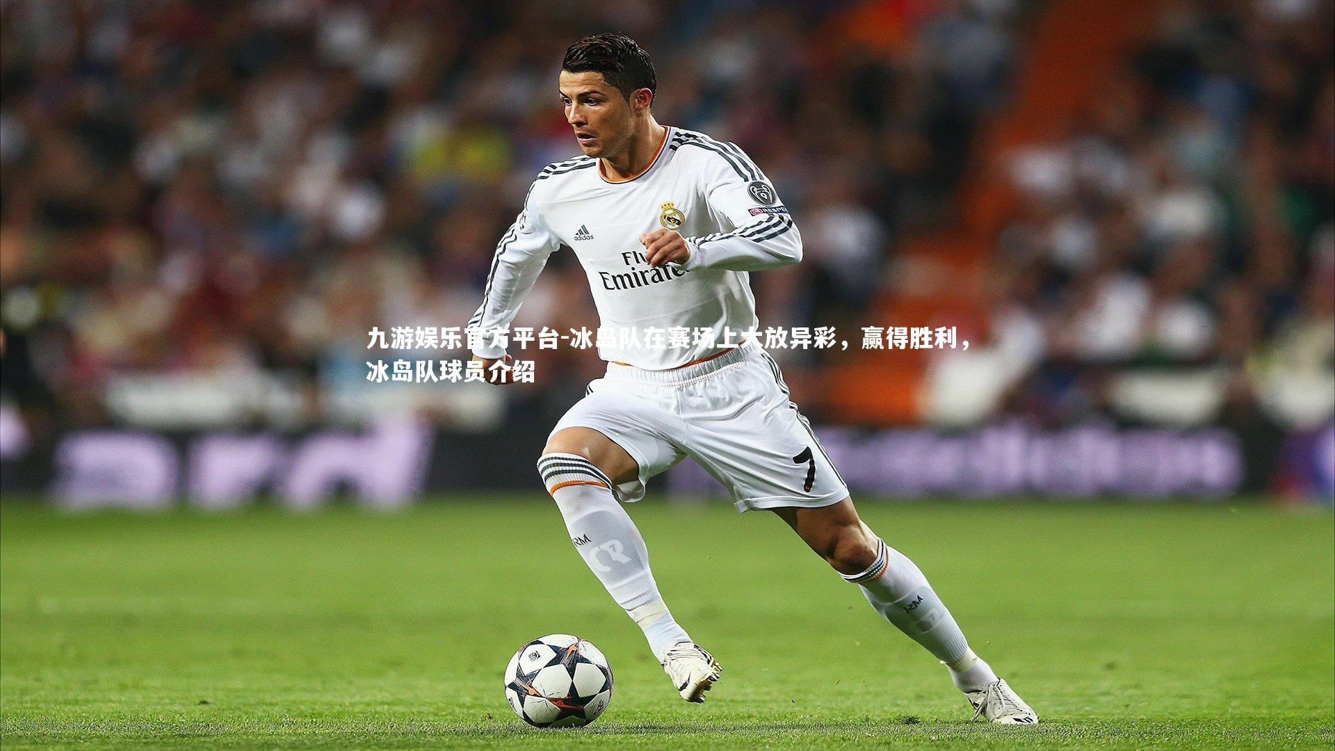 冰岛队在赛场上大放异彩，赢得胜利，冰岛队球员介绍